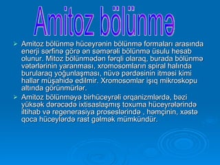 Amitoz bölünmə hüceyrənin bölünmə formaları arasında enerji sərfinə görə ən səmərəli bölünmə üsulu hesab olunur. Mitoz bölünmədən fərqli olaraq, burada bölünmə vətərlərinin yaranması, xromosomların spiral halında burularaq yoğunlaşması, nüvə pərdəsinin itməsi kimi hallar müşahidə edilmir. Xromosomlar işıq mikroskopu altında görünmürlər. Amitoz bölünməyə birhüceyrəli orqanizmlərdə, bəzi yüksək dərəcədə ixtisaslaşmış toxuma hüceyrələrində iltihab və regenerasiya proseslərində , həmçinin, xəstə qoca hüceylərdə rast gəlmək mümkündür. Amitoz bölünmə 