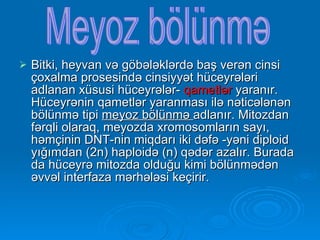 Bitki, heyvan və göbələklərdə baş verən cinsi çoxalma prosesində cinsiyyət hüceyrələri adlanan xüsusi hüceyrələr-  qametlər  yaranır. Hüceyrənin qametlər yaranması ilə nəticələnən bölünmə tipi  meyoz bölünmə  adlanır. Mitozdan fərqli olaraq, meyozda xromosomların sayı, həmçinin DNT-nin miqdarı iki dəfə -yəni diploid yığımdan (2n) haploidə (n) qədər azalır. Burada da hüceyrə mitozda olduğu kimi bölünmədən əvvəl interfaza mərhələsi keçirir. Meyoz bölünmə 