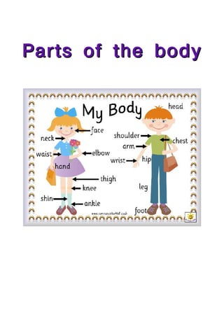 Parts of the body
 