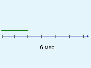 6 мес 