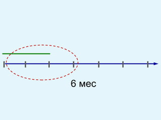 6 мес 