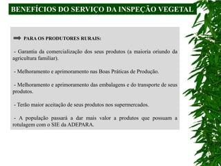 BENEFÍCIOS DO SERVIÇO DA INSPEÇÃO VEGETAL


    PARA OS PRODUTORES RURAIS:

 - Garantia da comercialização dos seus produtos (a maioria oriundo da
agricultura familiar).

- Melhoramento e aprimoramento nas Boas Práticas de Produção.

 - Melhoramento e aprimoramento das embalagens e do transporte de seus
produtos.

- Terão maior aceitação de seus produtos nos supermercados.

 - A população passará a dar mais valor a produtos que possuam a
rotulagem com o SIE da ADEPARA.
 