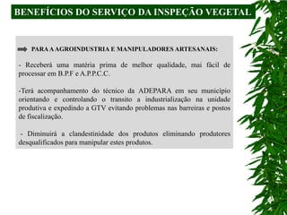 BENEFÍCIOS DO SERVIÇO DA INSPEÇÃO VEGETAL


    PARA A AGROINDUSTRIA E MANIPULADORES ARTESANAIS:

- Receberá uma matéria prima de melhor qualidade, mai fácil de
processar em B.P.F e A.P.P.C.C.

-Terá acompanhamento do técnico da ADEPARA em seu município
orientando e controlando o transito a industrialização na unidade
produtiva e expedindo a GTV evitando problemas nas barreiras e postos
de fiscalização.

 - Diminuirá a clandestinidade dos produtos eliminando produtores
desqualificados para manipular estes produtos.
 