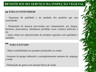 BENEFÍCIOS DO SERVIÇO DA INSPEÇÃO VEGETAL

   PARA O CONSUMIDOR

 - Segurança da qualidade e da sanidade dos produtos que esta
consumindo.

 - Diminuição de doenças provocadas por contaminação, por fungos,
bactérias, protozoários, substâncias proibidas como corantes artificiais e
etc.
 - maior oferta nos supermercados de produtos regionais com qualidade e
sanidade.

    PARA O ESTADO

- Maior confiabilidade nos produtos produzidos no estado.

 -Aumento do parque industrial e conseqüentemente aumento de, emprego
e renda

- Diminuição de gastos com atenção básica de saúde.
 