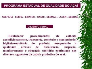 PROGRAMA ESTADUAL DE QUALIDADE DO AÇAÍ


ADEPARÁ - SESPA – EMATER – SAGRI - SESMA’s - LACEN - SEBRAE



                   OBJETIVO GERAL



    Estabelecer      procedimentos      de      colheita
acondicionamento, transporte, comércio e manipulação,
higiênico-sanitário do produto, assegurando a
qualidade     através    de   fiscalização,  inspeção,
monitoramento e educação sanitária continuada nos
diversos segmentos da cadeia produtiva do açaí.
 