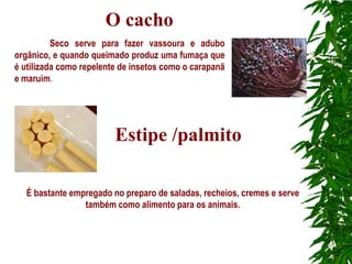 O cacho
          Seco serve para fazer vassoura e adubo
orgânico, e quando queimado produz uma fumaça que
é utilizada como repelente de insetos como o carapanã
e maruim.




                         Estipe /palmito

  É bastante empregado no preparo de saladas, recheios, cremes e serve
                também como alimento para os animais.
 
