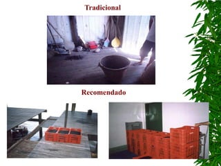 Tradicional




Recomendado
 