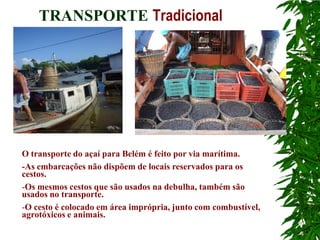 TRANSPORTE Tradicional




O transporte do açaí para Belém é feito por via marítima.
-As embarcações não dispõem de locais reservados para os
cestos.
-Os mesmos cestos que são usados na debulha, também são
usados no transporte.
-O cesto é colocado em área imprópria, junto com combustível,
agrotóxicos e animais.
 