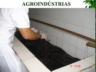 AGROINDÚSTRIAS
 