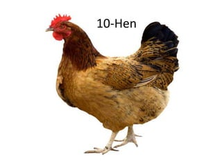 1
Bun
2
Shoe
3
Tree
4
Door
5
Hive
6
Sticks
7
Heaven
8
Gate
9
Vine
10-Hen
 