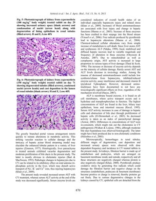 AHMAD et al. / Int. J. Agric. Biol., Vol. 13, No. 6, 2011

 Fig. 5: Photomicrograph of kidney from cypermethrin                     considered indicators of overall health status of an
 (100 mg.kg-1 body weight) treated rabbit on day 29                      individual especially hepatocyte injury and related stress
 showing increased urinary space (blank arrows) and                      (Khan et al., 2009). Increases of blood aminotransferases
 condensation of nuclei (arrow head) along with                          are associated with liver injury and change in hepatic
 degeneration of lining epithelium in renal tubules                      functions (Manna et al., 2003). Increase of these enzymes
 (filled arrow). H and E, Lens 40X                                       has been credited to their seepage into the blood stream
                                                                         (Yousef et al., 2006). Free radicals produced by pyrethroids
                                                                         lead to hepatocyte alterations (Manna et al., 2004).
                                                                         Chemical-induced cellular alterations vary from simple
                                                                         increase of metabolism to cell death. Since liver stores AST
                                                                         and synthesizes ALT (Nduka, 1999), focal, multifocal and
                                                                         diffused hepatic necrosis lead to variable magnitude and
                                                                         frequency of alteration in these enzymes (Onyesom &
                                                                         Anosike, 2007). Due to mitochondrial as well as
                                                                         cytoplasmic origin, AST activity is increased in large
                                                                         proportion in various types of liver damage (Theal & Scott,
                                                                         1996). The increase or decrease of enzyme activity depends
                                                                         on the intensity of cellular damage. Rarely serum AST and
                                                                         ALT levels decrease in toxicology studies. Among the
                                                                         reasons of decreased aminotransferases could include low
                                                                         synthesis/release from hepatocytes, inhibited/reduced
 Fig. 6: Photomicrograph of kidney from cypermethrin
                                                                         enzyme activity, assay interference and decreased vitamin B
 (150 mg.kg-1 body weight) treated rabbit on day 71
                                                                         (pyridoxal 5-phosphate). However, decreased amino-
 showing degenerated tubules (filled arrows), condensed
                                                                         trasferases have been documented to not have any
 nuclei (arrow heads) and cast deposition in the lumen
                                                                         toxicologically significant effects on liver, regardless of the
 of renal tubules (blank arrow). H and E, Lens 40X
                                                                         mechanism involved (Hayes, 2007).
                                                                               ALP is membrane bound enzyme, it is found on all
                                                                         cell membranes, where active transport occurs and is
                                                                         hydrolase and transphosphorylase in function. The highest
                                                                         concentrations of ALP are found in the liver, biliary tract
                                                                         epithelium, bone and intestinal mucosa (Ravel, 1995).
                                                                         Serum ALP activity increases in case of damage to hepatic
                                                                         cells and obstruction of bile duct through proliferation of
                                                                         hepatic cells (El-Demerdash et al., 2003). Its decreased
                                                                         activity is taken as an index of parenchymal damage
                                                                         (Anwar, 2003). Differences in concentrations of ALP were
                                                                         in-consistent, which might rule out the cholestatsis in CY
                                                                         pathogenesis (Wulkan & Leijnse, 1986), although moderate
                                                                         bile duct hyperplasia was observed histologically. The latter
The greatly branched portal venous arrangement retorts                   might have been produced due to non-cholestatic conditions
quickly to minute alterations in metabolic activity. This                (Hulzebos et al., 2005).
striking vascular reaction to cellular damage and the                          Microscopically, hemorrhages in renal tubules,
intricacy of hepatic acinar blood streaming model may                    different stages of degeneration, cast deposition and
elucidate the enhanced lobular pattern in a variety of liver             increased urinary spaces were observed with dose
injuries (Zimmon, 1977). Histologically, liver parenchyma                dependent frequency and incidence in CY treated rabbits in
in treated animals exhibited vacuolar degeneration and                   the present study. In kidneys, filtration barrier is made up of
moderate proliferation of bile ducts in the present study. The           endothelium and podocytes, which are arranged on
latter is mostly obvious in cholestatic injuries (Burt &                 basement membrane inside and outside, respectively and all
MacSween, 1993). Pathologic changes in hepatocytes due to                these structures are negatively charged whereas protein is
CY can be related to its inhibitory effect on total adenine tri-         also negatively charged (Khan, 2008). Pyrethroids produce
phosphate activity in the liver, which may disturb active                oxidative stress by generating free radicals which could
transport of Na+, K+ and Ca2+ ions, thus injuring hepatocytes            damage the filtration barrier and negative charge on the
(Khan et al., 2009).                                                     structures (endothelium, podocytes & basement membrane)
      The present study revealed increased serum AST with                become positive or charge is removed, thereby proteins go
CY treatment, whereas serum ALT activity at the end of the               out freely. Due to various degenerative changes in the
study was decreased significantly. Serum enzyme levels are               kidneys caused by CY, epithelial cells are detached from the


                                                                   870
 