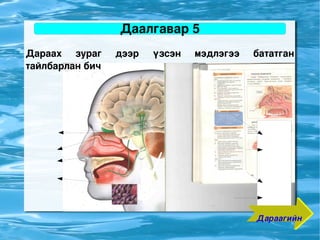 Даалгавар 5
    Дараах  зураг    дээр    үзсэн    мэдлэгээ    бататган 
    тайлбарлан бич




                               
                                                  Дараагийн
 