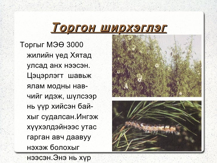 хичээл 4 торго