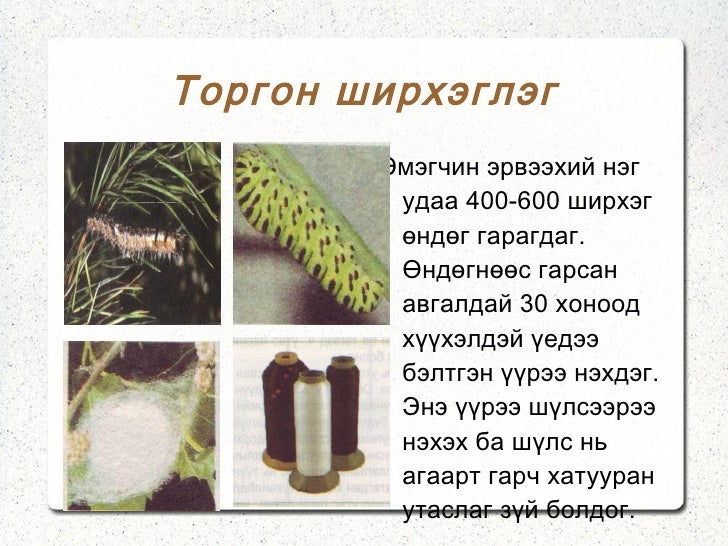 хичээл 4 торго