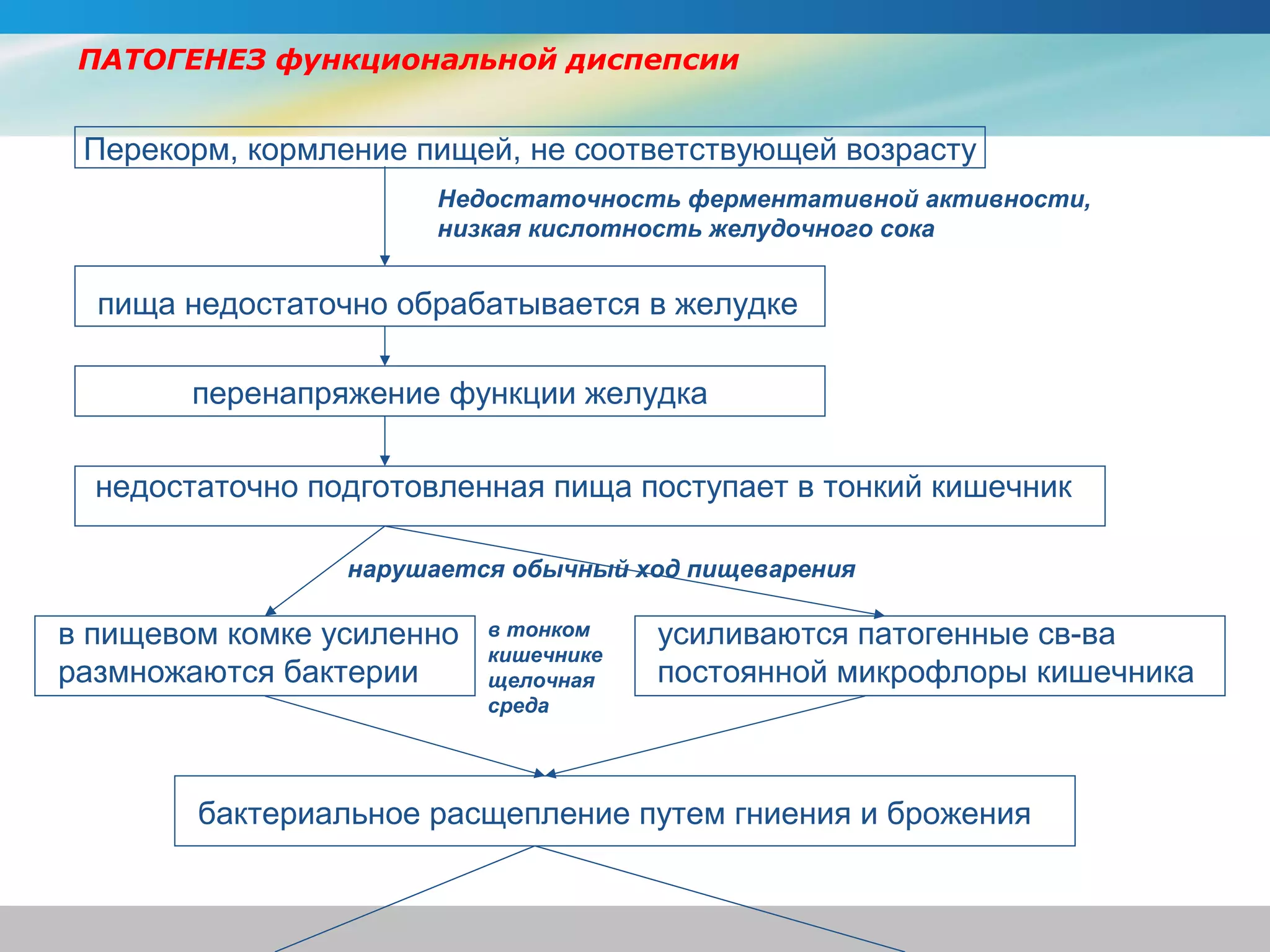 ПАТОГЕНЕЗ функциональной диспепсии


 Перекорм, кормление пищей, не соответствующей возрасту
                       Недостаточность ферментативной активности,
                       низкая кислотность желудочного сока


  пища недостаточно обрабатывается в желудке

        перенапряжение функции желудка

  недостаточно подготовленная пища поступает в тонкий кишечник

                 нарушается обычный ход пищеварения

в пищевом комке усиленно   в тонком    усиливаются патогенные св-ва
                           кишечнике
размножаются бактерии      щелочная    постоянной микрофлоры кишечника
                           среда




        бактериальное расщепление путем гниения и брожения
 