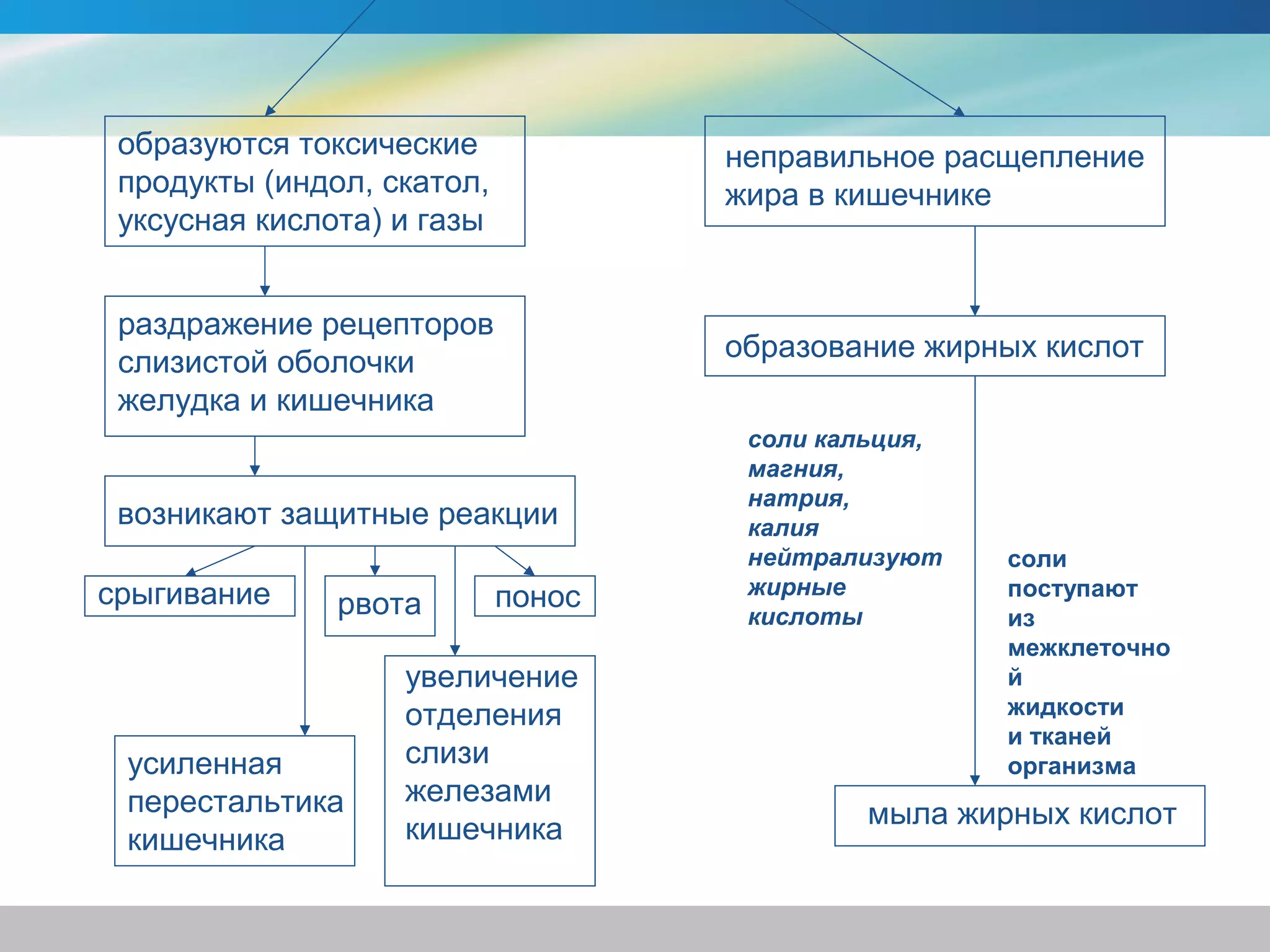 образуются токсические             неправильное расщепление
 продукты (индол, скатол,           жира в кишечнике
 уксусная кислота) и газы


 раздражение рецепторов
 слизистой оболочки                 образование жирных кислот
 желудка и кишечника
                                     соли кальция,
                                     магния,
                                     натрия,
 возникают защитные реакции          калия
                                     нейтрализуют    соли
срыгивание                  понос    жирные          поступают
               рвота                 кислоты         из
                                                     межклеточно
                   увеличение                        й
                   отделения                         жидкости
                                                     и тканей
 усиленная         слизи                             организма
 перестальтика     железами
                   кишечника                 мыла жирных кислот
 кишечника
 