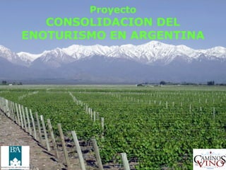 Proyecto
   CONSOLIDACION DEL
ENOTURISMO EN ARGENTINA
 