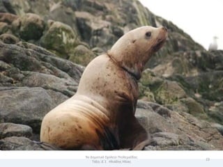 9ο Δθμοτικό Σχολείο Πτολεμαΐδασ
                                  23
    Τάξθ: Δϋ1 Θλιάδθσ Θλίασ
 