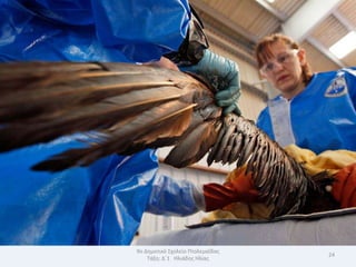 9ο Δθμοτικό Σχολείο Πτολεμαΐδασ
                                  24
    Τάξθ: Δϋ1 Θλιάδθσ Θλίασ
 