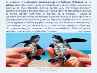 Οι επιπτϊςεισ τθσ αλιευτικισ δραςτθριότθτασ ςτα καλάςςια κθλαςτικά και τισ
χελϊνεσ είναι τόςο ζμμεςεσ, μζςω τθσ υπεραλίευςθσ και τθσ κάκετθσ μείωςθσ των
ειδϊν με τα οποία τρζφονται, όςο και άμεςεσ, μζςω τθσ τυχαίασ αλίευςθσ ι
εμπλοκισ ςε διάφορα αλιευτικά εργαλεία, θ οποία οδθγεί ςε τραυματιςμό και ςυχνά
ςε πνιγμό (εφόςον εμποδίηεται θ ανάδυςθ και θ αναπνοι).   Κακϊσ τα
ιχκυαποκζματα μειϊνονται, τα καλάςςια κθλαςτικά (κυρίωσ τα ρινοδζλφινα και οι
φϊκιεσ) προκαλοφν αυξανόμενεσ ηθμιζσ ςτα δίχτυα των παράκτιων αλιζων. Οι αλιείσ
(μία επαγγελματικι ομάδα χαμθλοφ ειςοδιματοσ) δεν λαμβάνουν αποηθμίωςθ ι
υποςτιριξθ για αυτζσ τισ καταςτροφζσ που αντιμετωπίηουν, γεγονόσ που δθμιουργεί
μία ανταγωνιςτικι ςχζςθ ανάμεςα ςτουσ ίδιουσ και τα καλάςςια κθλαςτικά, θ οποία
εκφράηεται κατά καιροφσ με θκελθμζνεσ κανατϊςεισ.                  Πθγι: Αρχιπζλαγοσ




                              9ο Δθμοτικό Σχολείο Πτολεμαΐδασ
                                                                                  45
                                  Τάξθ: Δϋ1 Θλιάδθσ Θλίασ
 