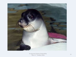 9ο Δθμοτικό Σχολείο Πτολεμαΐδασ
                                  52
    Τάξθ: Δϋ1 Θλιάδθσ Θλίασ
 