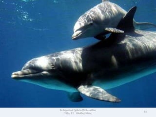 9ο Δθμοτικό Σχολείο Πτολεμαΐδασ
                                  53
    Τάξθ: Δϋ1 Θλιάδθσ Θλίασ
 