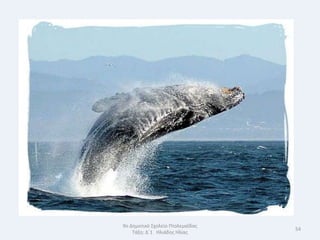 9ο Δθμοτικό Σχολείο Πτολεμαΐδασ
                                  54
    Τάξθ: Δϋ1 Θλιάδθσ Θλίασ
 