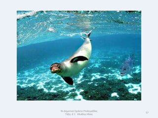 9ο Δθμοτικό Σχολείο Πτολεμαΐδασ
                                  57
    Τάξθ: Δϋ1 Θλιάδθσ Θλίασ
 