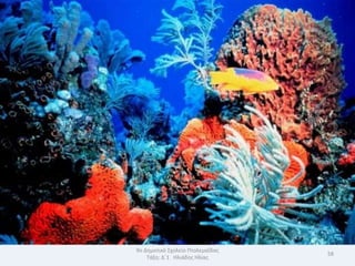 9ο Δθμοτικό Σχολείο Πτολεμαΐδασ
                                  58
    Τάξθ: Δϋ1 Θλιάδθσ Θλίασ
 