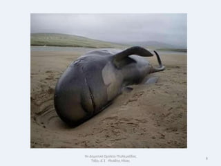 9ο Δθμοτικό Σχολείο Πτολεμαΐδασ
                                  8
    Τάξθ: Δϋ1 Θλιάδθσ Θλίασ
 