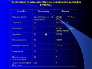 Генетические локусы, ответственные за развитие дистрофий
                        роговицы.

      Дистрофии             Хромосомы             Локусы

 Месмана-Уилки        12q (кератин 3), 17q   Е590К,     V143L,
                      (кератин 12).          R135T
 Узелковая            5q                     R555W, R124L

 Решетчатая           5q                     R124C,      P501T,
                                             P551Q, A546D.
 Авеллино             5q                     R124H

 Рейса-Бюклерса       5q                     R555Q

 Решетчатая тип II    9q                     D187N

 Макулярная           16                     ?

 Наследственная       20                     ?
 эндотелиальная
 Задняя полиморфная   20q                    ?
 Шлихтинга
                                   
 