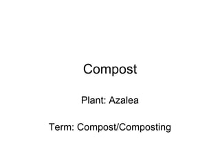 Compost Plant: Azalea Term: Compost/Composting 