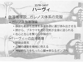 1578-1657
                   ハーヴィ
• 血液循環説…ガレノス体系の克服
      – ガレノス血液理論
            • 静脈も動脈も血液を身体各部に運び滲み出させる
            • 肺から、プネウマを含む空気が全身に送られる
            • 右心と左心を繋ぐ心中隔の穴
      – ハーヴィーの血液循環
            • 閉鎖血管系
            • 心臓の運動を機械に例える
            • 神秘的な力をもった心臓⇒単なるポンプへ

2012/11/6           東大科学哲学ゼミ           26
 