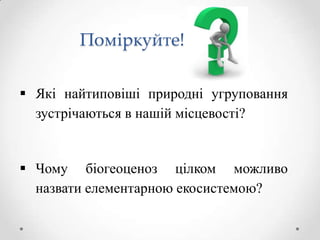 Поміркуйте!

 Які найтиповіші природні угруповання
  зустрічаються в нашій місцевості?


 Чому біогеоценоз цілком можливо
  назвати елементарною екосистемою?
 