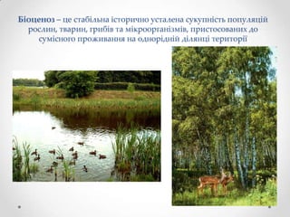 Біоценоз – це стабільна історично усталена сукупність популяцій
  рослин, тварин, грибів та мікроорганізмів, пристосованих до
    сумісного проживання на однорідній ділянці території
 