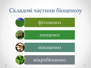Складові частини біоценозу

          фітоценоз

          зооценоз

          мікоценоз

        мікробіоценоз
 