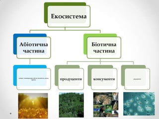 Екосистема



Абіотична                                                      Біотична
 частина                                                       частина



клімат, температура, світло, вологість, склад
                 ґрунту                           продуценти   консументи   редуценти
 