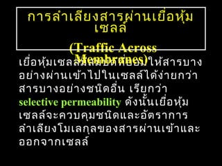 การลำา เลีย งสารผ่า นเยื่อ หุ้ม
                   เซลล์
            (Traffic Across
             Membranes)
เยือ หุ้ม เซลล์ม ีส มบัต ิท ี่ย อมให้ส ารบาง
   ่
อย่า งผ่า นเข้า ไปในเซลล์ไ ด้ง า ยกว่า
                                  ่
สารบางอย่า งชนิด อื่น เรีย กว่า
selective permeability ดัง นั้น เยือ หุ้ม
                                    ่
เซลล์จ ะควบคุม ชนิด และอัต ราการ
ลำา เลีย งโมเลกุล ของสารผ่า นเข้า และ
ออกจากเซลล์
                                           62
 