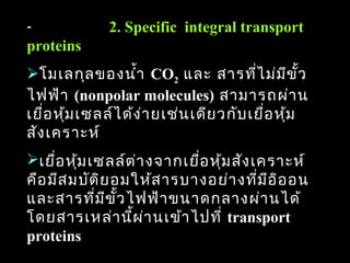 -        2. Specific integral transport
proteins
โมเลกุล ของนำ้า CO2 และ สารที่ไ ม่ม ข ั้ว       ี
ไฟฟ้า (nonpolar molecules) สามารถผ่า น
เยื่อ หุ้ม เซลล์ไ ด้ง า ยเช่น เดีย วกับ เยื่อ หุ้ม
                      ่
สัง เคราะห์
เยื่อ หุ้ม เซลล์ต า งจากเยื่อ หุ้ม สัง เคราะห์
                   ่
คือ มีส มบัต ย อมให้ส ารบางอย่า งที่ม อ ิอ อน
              ิ                           ี
และสารที่ม ข ั้ว ไฟฟ้า ขนาดกลางผ่า นได้
                ี
โดยสารเหล่า นี้ผ า นเข้า ไปที่ transport
                     ่
proteins                                             65
 