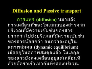 Diffusion and Passive transport
      การแพร่ (diffusion) หมายถึง
การเคลื่อ นที่ข องโมเลกุล ของสารจาก
บริเ วณที่ม ค วามเข้ม ข้น ของสาร
            ี
มากกว่า ไปยัง บริเ วณที่ม ค วามเข้ม ข้น
                                ี
ของสารน้อ ยกว่า จนกว่า จะอยูใ น      ่
สภาพสมดุล (dynamic equilibrium)
เมื่อ อยูใ นสภาพสมดุล แล้ว โมเลกุล
         ่
ของสารยัง คงเคลื่อ นอยูแ ต่เ คลื่อ นที่
                              ่
ด้ว ยอัต ราเร็ว เท่า กัน ทั้ง สองบริเ วณ
                                      66
 
