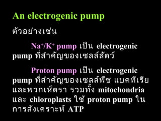 An electrogenic pump
ตัว อย่า งเช่น
    Na+/K+ pump เป็น electrogenic
pump ที่ส ำา คัญ ของเซลล์ส ต ว์
                           ั
    Proton pump เป็น electrogenic
pump ที่ส ำา คัญ ของเซลล์พ ืช แบคทีเ รีย
และพวกเห็ด รา รวมทั้ง mitochondria
และ chloroplasts ใช้ proton pump ใน
การสัง เคราะห์ ATP                    80
 