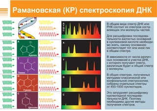 N
H
H
N
N
N
N
O
H
N
N O
H
O
H3
C
N
N
N
N
NH2
N
N
NH2
O
 