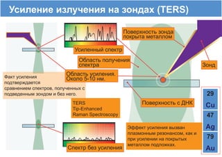 29
Cu
79
Au
47
Ag
TERS
 