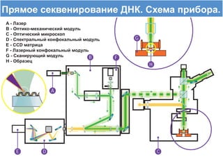 D
B
E
A
C
F
G
H
D
B
E
A
C
F
G
H
 