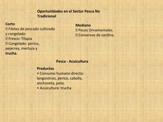 Oportunidades en el Sector Pesca No
Tradicional
Corto
 Filetes de pescado cultivado
y congelado.
 Fresco: Tilapia
 Congelado: perico,
pejerrey, merluza y
trucha.
Mediano
 Peces Ornamentales.
 Conservas de sardina.
Pesca - Acuicultura
Productos
• Consumo humano directo:
langostinos, perico, caballa,
anchoveta, pota.
• Acuicultura: trucha
 
