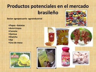 Productos potenciales en el mercado
brasileño
Sector agropecuario -agroindustrial
•Papas –batatas
•Anís•Linaza
•Camote
•Quinua
•Kiwicha
•Ajo
•Uva de mesa
 