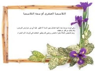 الثلاسيميا الصغرى أو سمة التلاسيميا وهي ليست مرضا بحد ذاتها، فحامل جين السمة لا تظهر عليه أي من عوارض المرض،  وقد يشكو من فقر دم خفيف  ويتم تشخيص الحالة بإجراء فحص روتيني للدم يظهر انخفاضا في كريات الدم الحمراء  