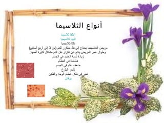 أنواع الثلاسيما الالفا ثلاسيما البيتا ثلاسيميا دلتا ثلاسيميا مريض التلاسيميا يحتاج إلى نقل متكرر للدم  ( من  3  إلى أربع أسابيع )   وطوال عمر المريض ينتج عن تكرار نقل الدم مشاكل كثيرة أهمها : زيادة نسبة الحديد في الجسم هشاشة في العظام ضعف عام في الجسم تأخر البلوغ تغير في شكل عظام الوجه والفكين يرقان 