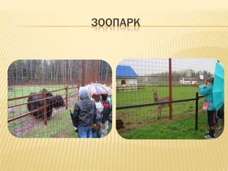 ЗООПАРК
 