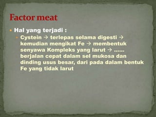  Hal yang terjadi :
 Cystein  terlepas selama digesti 
kemudian mengikat Fe  membentuk
senyawa Kompleks yang larut  ……
berjalan cepat dalam sel mukosa dan
dinding usus besar, dari pada dalam bentuk
Fe yang tidak larut
 